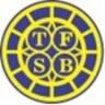 Tioga Franklin Savings Bank
