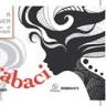 Tirabaci Hair Designer - Specialisti del biondo a Chieri