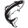 TJ's Seafood Market & Grill HP/Oak Lawn