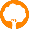 The Joshua Tree Ltd