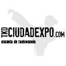 School Taekwondo - City Expo
