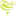 TLC Dental