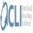Continual Learning Institute