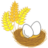Toast and Eggs