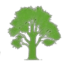 Toftwood Garden Centre