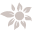 Tokunaga Dental Clinic