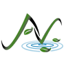 Tree of Life Ministries