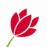 Tommy Tulpe Blumenbinderei
