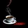 Tonyan Coffee Roasters