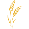 Terayne AG Specialties