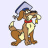 Top Dog Academy