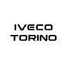 Torino Commercial Vehicles Ltd.