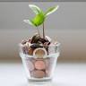 Tosa Accounting & Tax