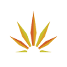 Total Hemp Company Australia