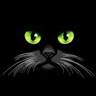 Tot Cat. Clínica felina