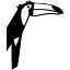 Toucan Health Club