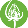 Touchstone Center For Crafts