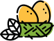 Tannaz Parvaz Travel Agency