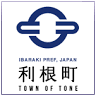 Tone Water Park
