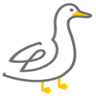 Town Duck