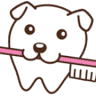 Dog & Cat Dental Service, Toyohira Animal Hospital