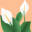 Plant Connection