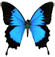 Tracy Baker Lymphatic Therapist