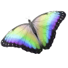 Transformations Wellness Integrative Therapies