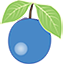 Racovita Berivoi S.R.L. - Transylvania Berry