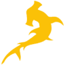 Travel-Shark