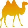 Khongoryn Els tour company