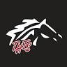 Treas Horse Trailer Sales