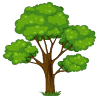 Treehouse Cottages