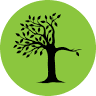 Tree Spirits