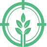 Tree Survey