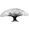 Treetop Tables