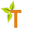 Trend Florist - İstanbul Çiçekçi - Flower Shop