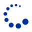 Trendhund -Onlineshop-