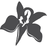 Trendy Bloemen