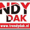 Trendydak onbetwist de dakspecialist