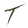 Tresetti's World Caffe