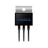 Electrónica Triacs.cl