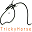 TrickyHorse - Trainings Center