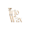 TRIOWAX Carwash