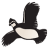 Triple L Quail