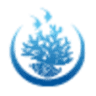 Triton GmbH