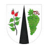 Trnovany