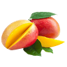 Tropical Acres Farms, Inc - Mangoes, Avocados, Sapodillas & Mangos Trees