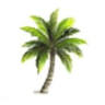 Tropical Looks Day Spa