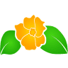 Tropiflor A.G.